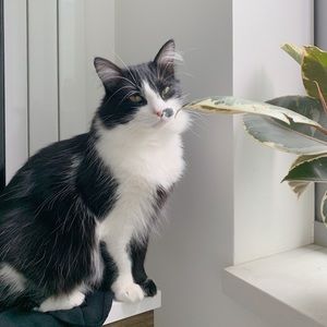 Meet your Posher, Serena